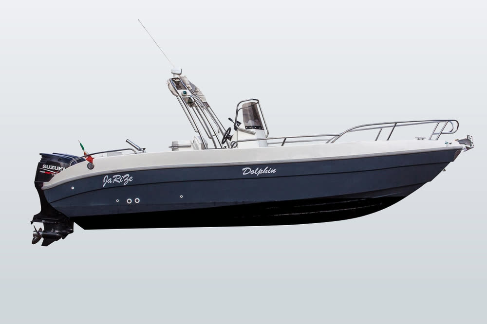Dolphin Marine Dolphin 25 Open — vista di lato