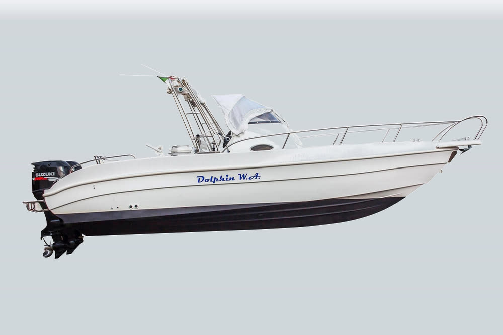 Dolphin Marine Dolphin 25 Walk Around — vista di lato