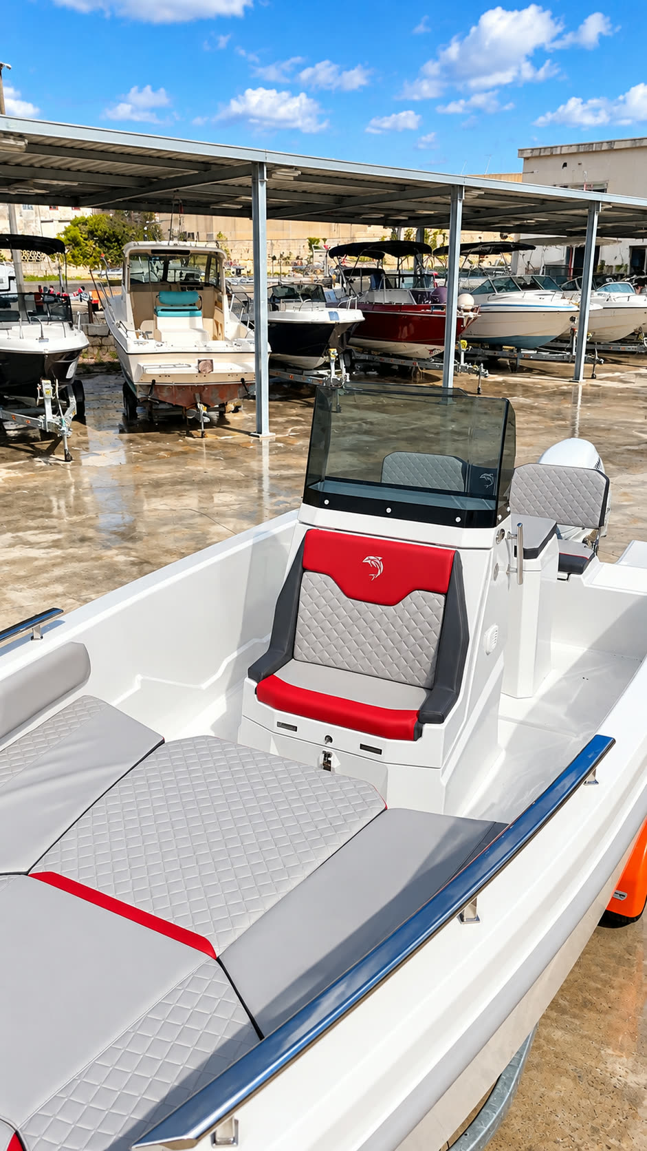 Dolphin Marine Raptor 20 — il pozzetto