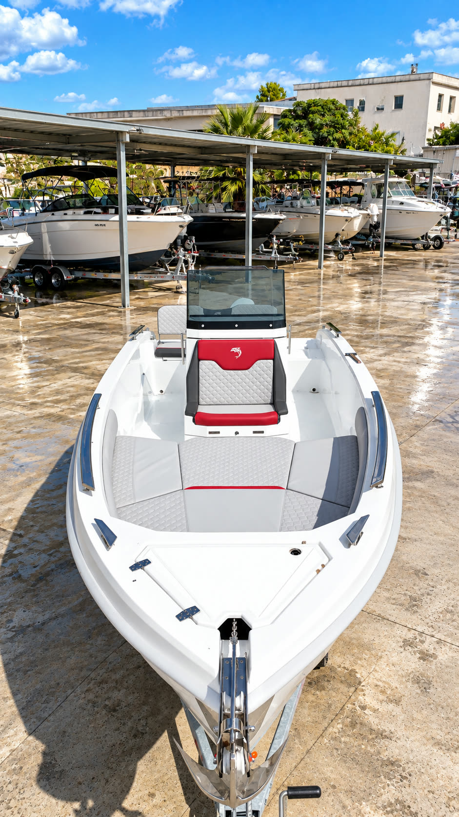 Dolphin Marine Raptor 20 — vista di prua