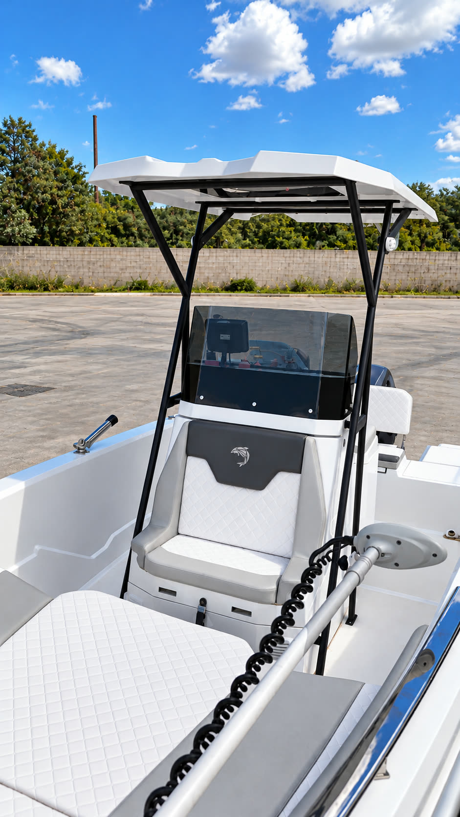 Dolphin Marine Raptor 20 personalizzato con T-top e portacanne — la console di guida