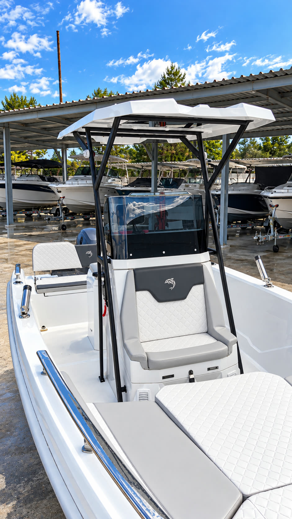 Dolphin Marine Raptor 20 personalizzato con T-top e portacanne — il pozzetto