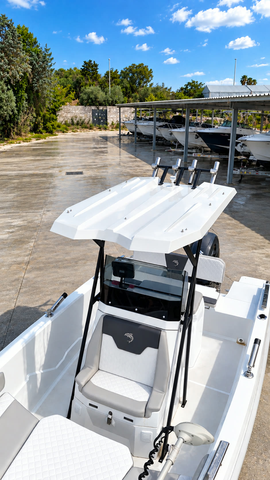 Dolphin Marine Raptor 20 personalizzato con T-top e portacanne — il T-top con portacanne
