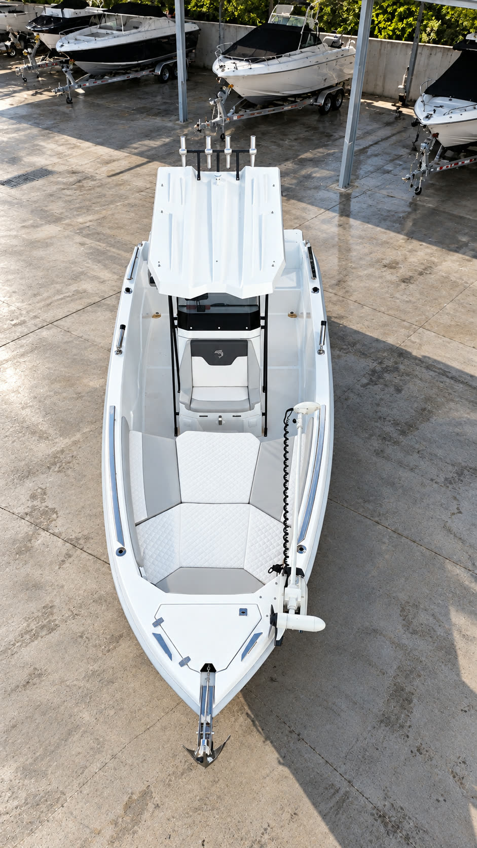 Dolphin Marine Raptor 20 personalizzato con T-top e portacanne — vista dall’alto