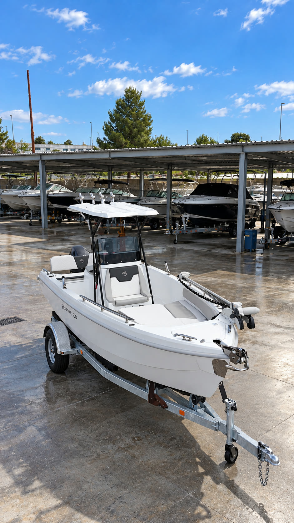 Dolphin Marine Raptor 20 personalizzato con T-top e portacanne — vista di tre quarti, sul carrello di alaggio